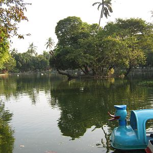 the zoo lake
