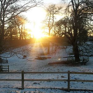 The first snow of winter, 3rd February 2015