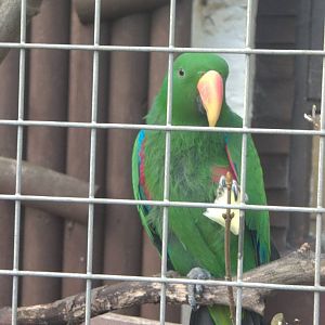 What is the difference between................, 6th February 2015