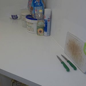 Keeper Ed is a champion cleaner, 7th February 2015