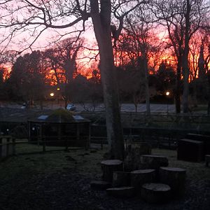 Sunset, 7th February 2015