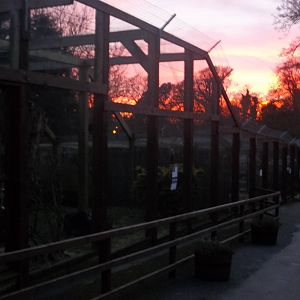 Sunset, 7th February 2015