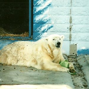 Mandy, 19th August 2000