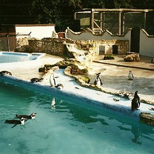 Penguin Pool, 23rd September 2000