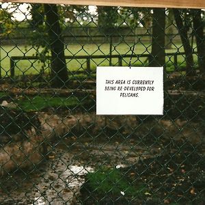 It ended up being for Brazilian Tapirs! 14th October 2000