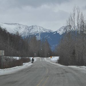 A man walking his dog along the old highway