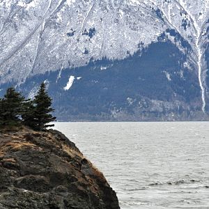 The Turnagain Arm and Kenai Mountians