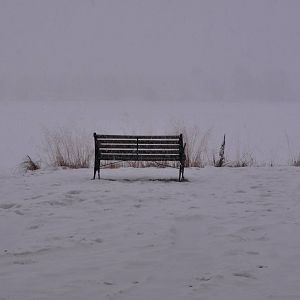 A Bench overlooking Lake Hood - Alaska