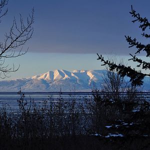 Face of the Lady - Alaska