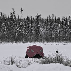 Fishing Shelter on Hilberg Lake - Alaska