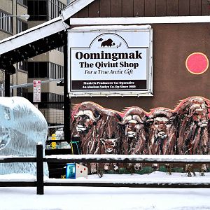Musk Ox Mural and Ice Sculpture on 6th Ave - Alaska