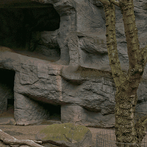 Now and then: Tiger-Cave