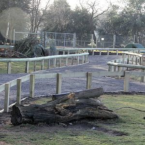 New layout to Wallaby enclosure 8-2-15