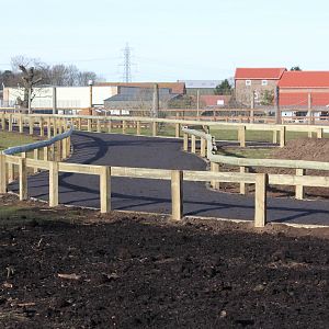 Wallaby enclosures new pathways. 8-2-15