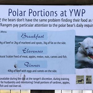 Polar bear diet sign. 8-2-15