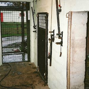 Inside the Lynx House, 25th November 2000