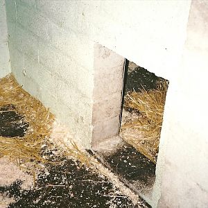 Inside the Lynx House, 25th November 2000