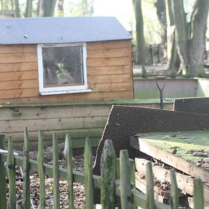 Meerkat exhibit under renovation, 29th October 2014