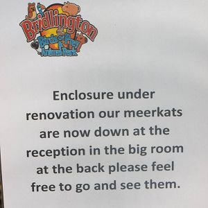 Signage re Meerkat exhibit under renovation, 29th October 2014