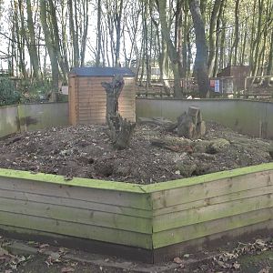 Meerkat exhibit under renovation, 29th October 2014