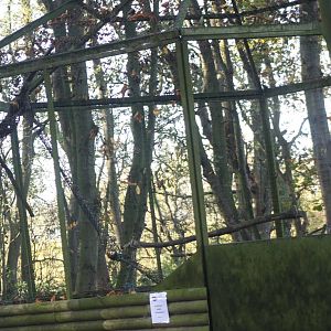 Raccoon exhibit under renovation, 29th October 2014