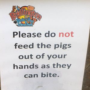 Signage, 29th October 2014