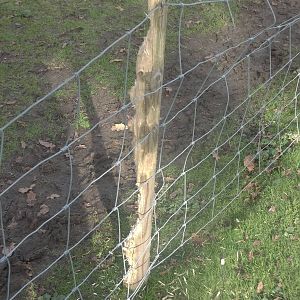 A new fence post required soon, 29th October 2014
