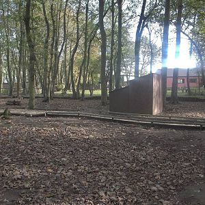 Wallaby exhibit, 29th October 2014