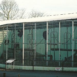 Chimpanzee cage, 16th December 2000