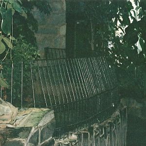Railings in Reptile House, 16th December 2000