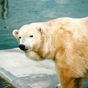 Mandy, 16th December 2000