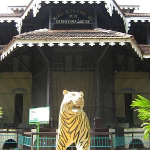 tiger statue in front of the Carnivora House