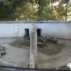 enclosures for Small-Clawed Otters (Aonyx cinerea)