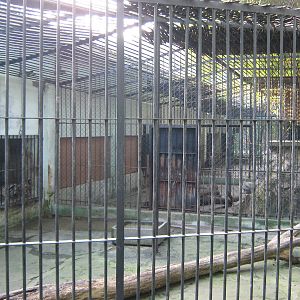 tiger cages