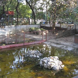 crocodile enclosures
