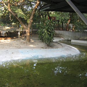 crocodile enclosures