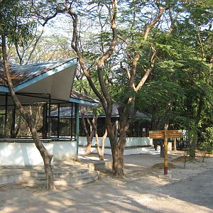 cages for small mammals