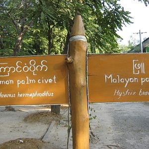 directional signage