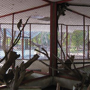 cages for small mammals