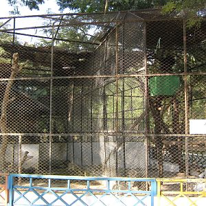 cages for Binturongs and Asiatic Black Bears