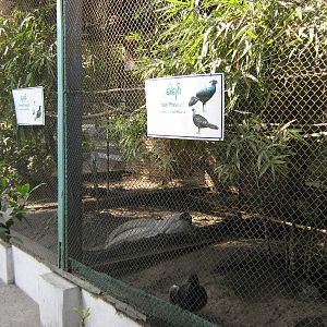 pheasant aviaries