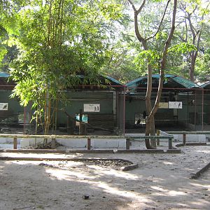 bird of prey aviaries