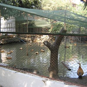 waterfowl aviary