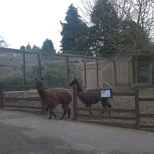 Heading for bed, 13th February 2015