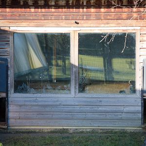 Cheetah : Hamerton : 18 Jan 2015