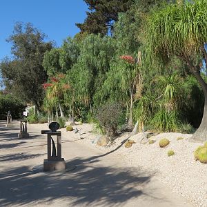 Elephant Odyssey - Hortons Way