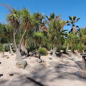 Elephant Odyssey - Hortons Way