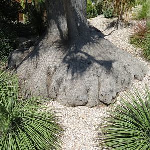 Elephant Odyssey - Hortons Way