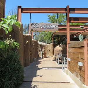 Elephant Odyssey - Fossil Portal