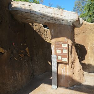 Elephant Odyssey - Fossil Portal